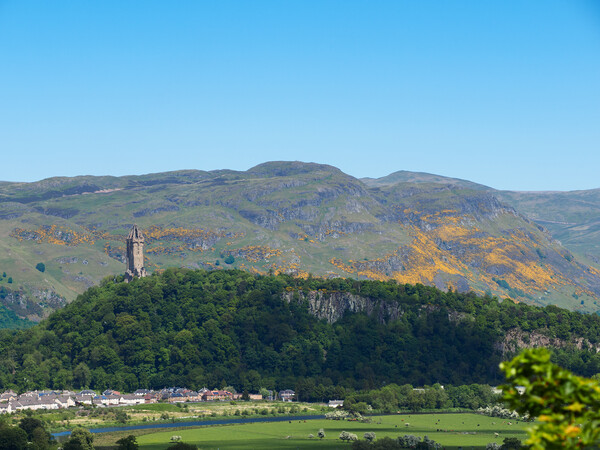 The Ochil Hills and Wallace Monument. Picture Board by Tommy Dickson