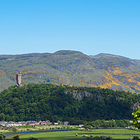 Buy canvas prints of The Ochil Hills and Wallace Monument. by Tommy Dickson