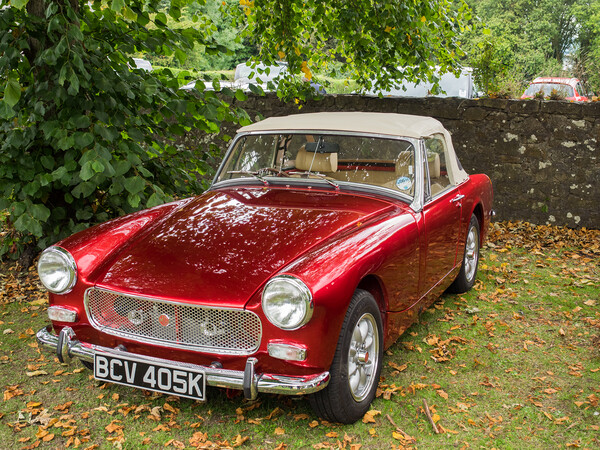 Mg Midget Picture Board by Tommy Dickson