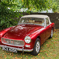 Buy canvas prints of Mg Midget by Tommy Dickson