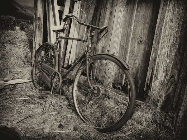Abandoned bicycle. Picture Board by Tommy Dickson