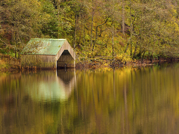 Loch Ard Boathouse, The Trossachs. Picture Board by Tommy Dickson