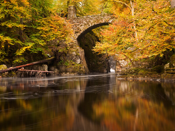 Autumn at the Hermitage. Picture Board by Tommy Dickson