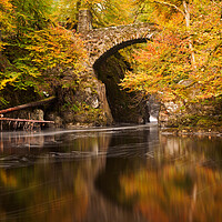 Buy canvas prints of Autumn at the Hermitage. by Tommy Dickson