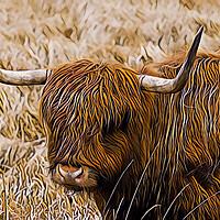 Buy canvas prints of Highland Coo - Digital Art by Tommy Dickson
