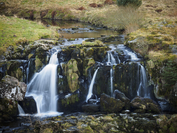 Loup of Fintry Waterfall. Picture Board by Tommy Dickson