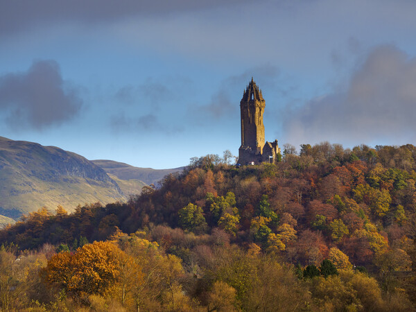 National Wallace Monument. Picture Board by Tommy Dickson