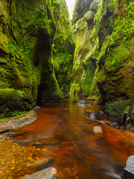 Finnich Glen, Stirlingshire, Scotland. Picture Board by Tommy Dickson