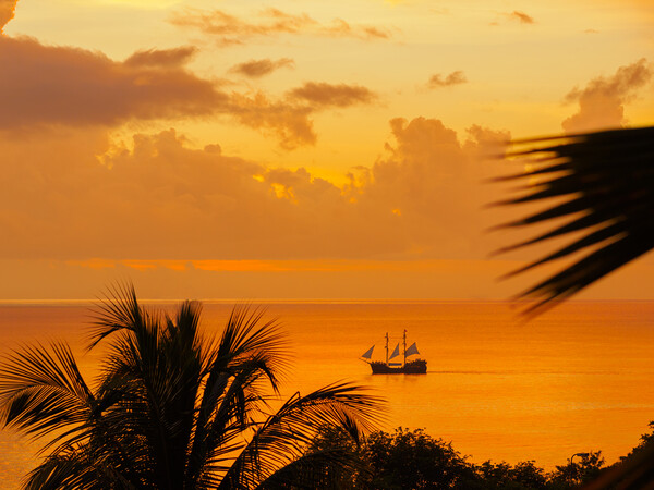 Sunset in Saint Lucia. Picture Board by Tommy Dickson