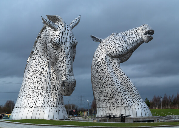 The Kelpies, Falkirk. Picture Board by Tommy Dickson