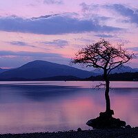 Buy canvas prints of The Solitude of a Scottish Sunset by Tommy Dickson