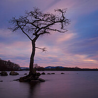 Buy canvas prints of Loch Lomond At Sunset by Tommy Dickson