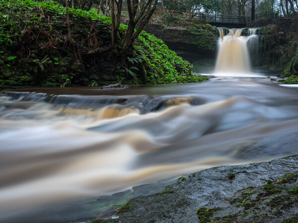 Westquarter Glen Waterfall, Falkirk. Picture Board by Tommy Dickson
