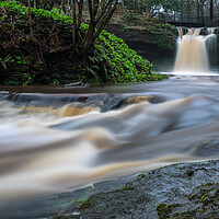 Buy canvas prints of Westquarter Glen Waterfall, Falkirk. by Tommy Dickson