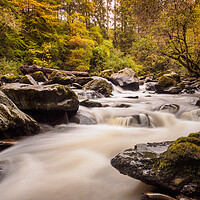 Buy canvas prints of Autumn on the River Braan, Birnam. by Tommy Dickson