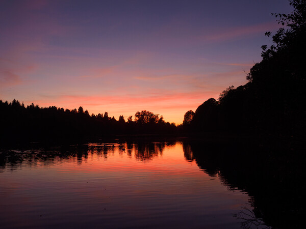 Callendar Park Sunset. Picture Board by Tommy Dickson