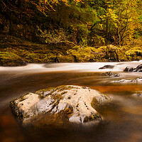 Buy canvas prints of Autumn in Scotland. by Tommy Dickson