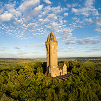 Buy canvas prints of Wallace Monument. by Tommy Dickson