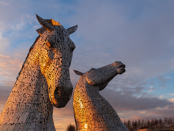 The Kelpies at sunset. Picture Board by Tommy Dickson