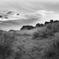 Buy canvas prints of Windswept Dunes by Lucy Pinkstone