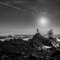 Buy canvas prints of The Lady of Hartland Quay by Rhys Parker