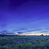 Buy canvas prints of Oxfordshire Field After Dark by Rhys Parker