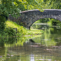 Buy canvas prints of Bridge over Neath canal by Paul Nicholas