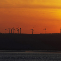 Buy canvas prints of  Wind farm sunset by Paul Nicholas