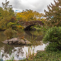 Buy canvas prints of Gapstow Bridge in Central Park by Paul Nicholas