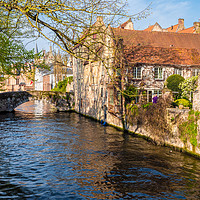 Buy canvas prints of Bruges canal on a spring morning by Paul Nicholas