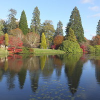 Buy canvas prints of Reflections Sheffield park gardens by Stephen Windsor