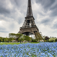 Buy canvas prints of Stormy Eiffel tower, Paris by Daugirdas Racys