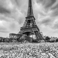Buy canvas prints of Stormy Eiffel Tower, Paris (black and white) by Daugirdas Racys
