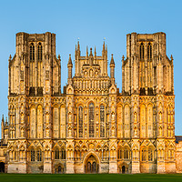 Buy canvas prints of Wells Cathedral at dusk by Daugirdas Racys