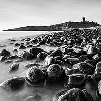 Buy canvas prints of Dunstanburgh castle at dawn (black and white) by Daugirdas Racys