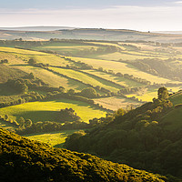 Buy canvas prints of Exmoor Green Rolling Hills by Daugirdas Racys