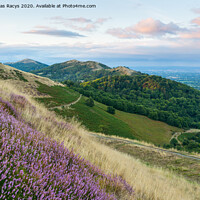 Buy canvas prints of Heather bloom on Malvern Hills by Daugirdas Racys