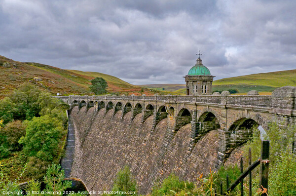 Elan Valley  Picture Board by Roz Greening