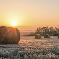 Buy canvas prints of Sunrise over the Bales by Roz Greening