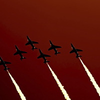 Buy canvas prints of red arrows by jay clarke