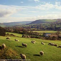Buy canvas prints of Swaledale, near Reeth, North Yorkshire by Robin Dengate