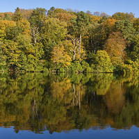 Buy canvas prints of Autumn Reflections by James Meacock