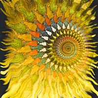 Buy canvas prints of Sol by Amanda Moore