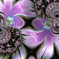 Buy canvas prints of Lilacs by Amanda Moore