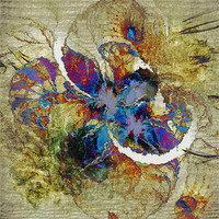 Buy canvas prints of Mollusca in Colour by Amanda Moore