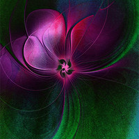 Buy canvas prints of Passion Flower by Amanda Moore