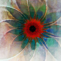 Buy canvas prints of In Glass by Amanda Moore