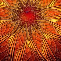 Buy canvas prints of Great Ball of Fire by Amanda Moore