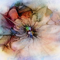 Buy canvas prints of Blooming by Amanda Moore