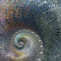 Buy canvas prints of  Spiral Fossil by Amanda Moore